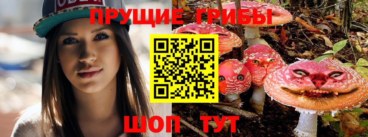 Асино  закладка  Галлюциногенные грибы прущие грибы  Вход с VPN  Псилоцибиновые грибы прущие грибы 