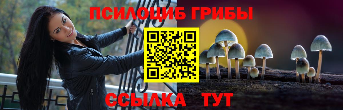 МЕФ Асино