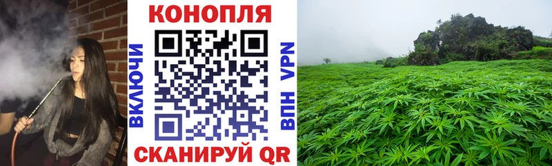 Конопля сатива  купить наркотики цена  Асино 